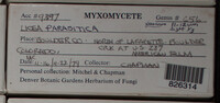 Image Associated With the Occurence